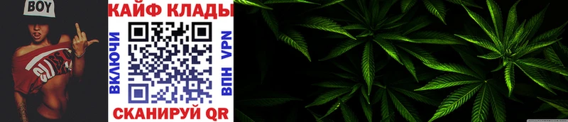 Наркошоп Снежногорск Alpha PVP  КОКАИН  ГАШ  Мефедрон  Марихуана 