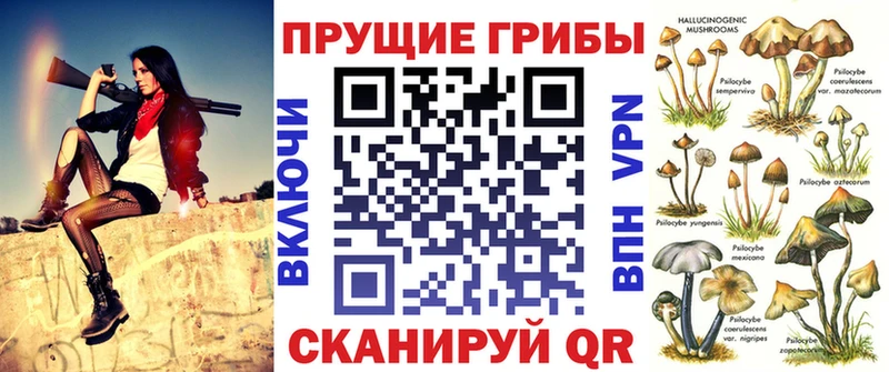 наркотики Снежногорск Псилоцибиновые грибы мухоморы